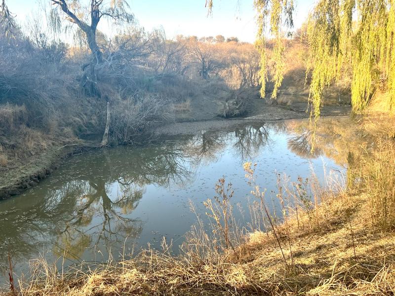 0 Bedroom Property for Sale in Heilbron Free State